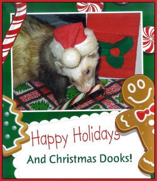 calibchristmascard1.jpg