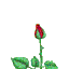 010.gif