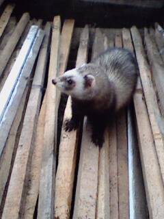 060527_184202.jpg